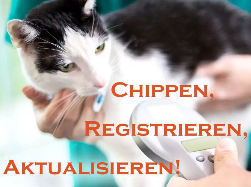 Chippen, Registrieren, Aktualisieren!