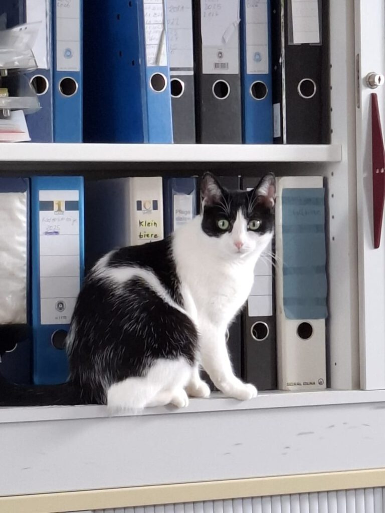 Fiene sucht Einzelplatz